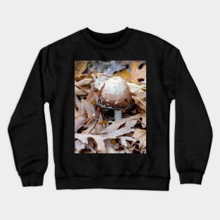 Ink cap mushroom on fall oak leaves Crewneck Sweatshirt